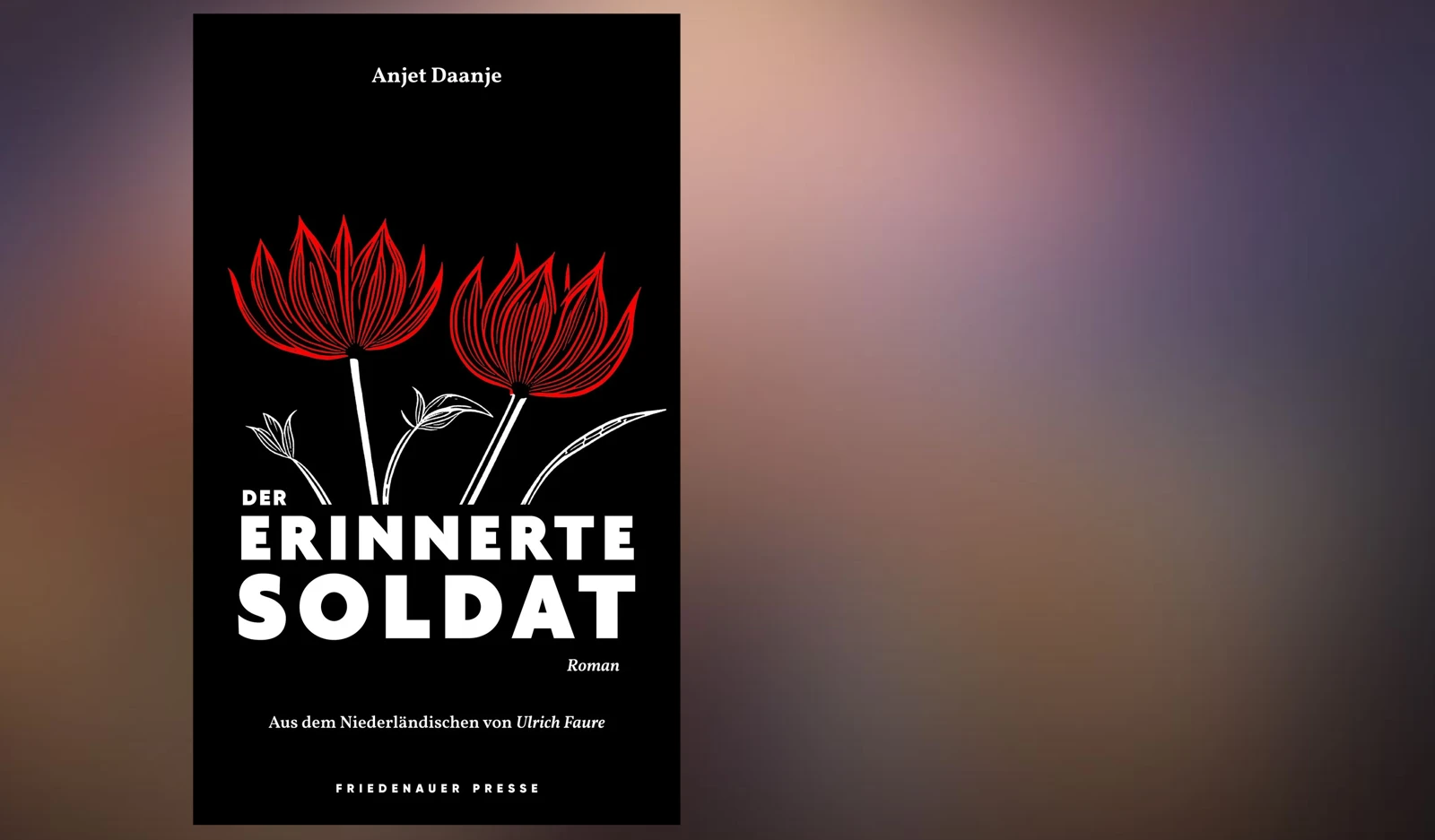 Neuer Roman von Anjet Daanje: Der erinnerte Soldat