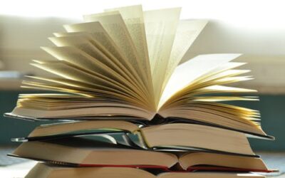 Frisch eingetroffen: günstige Taschenbücher!